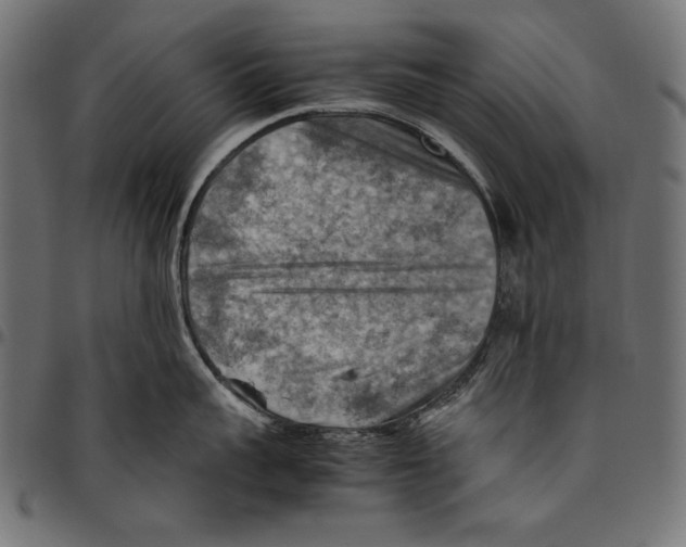 X0000094800959200712141649