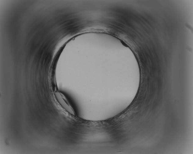 X0000094800960200712141649