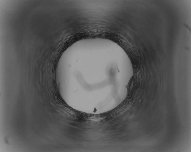 X0000094800961200712141649