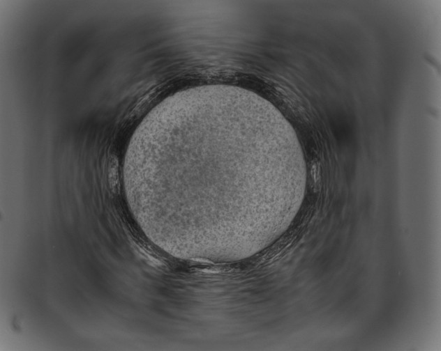 X0000094800963200712141649