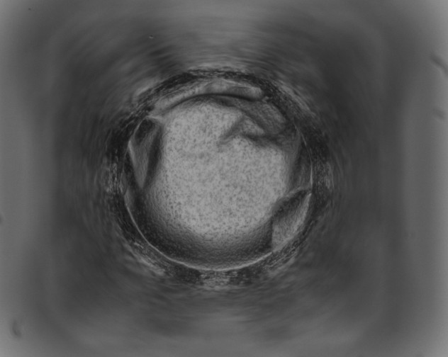 X0000094800965200712141649