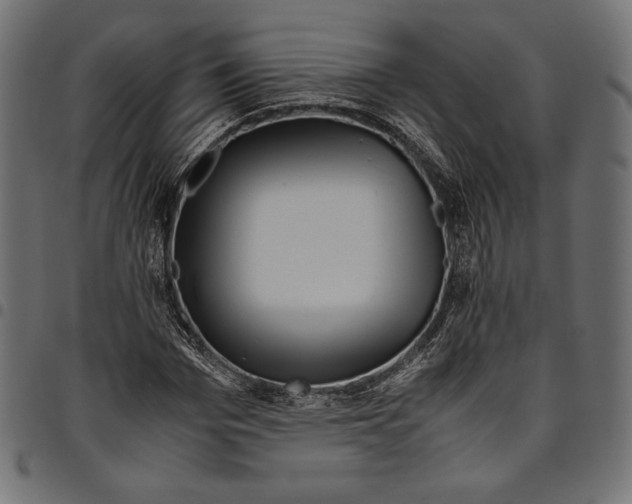 X0000094800969200712141649