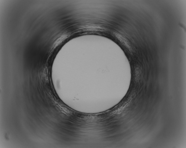 X0000094800970200712141649