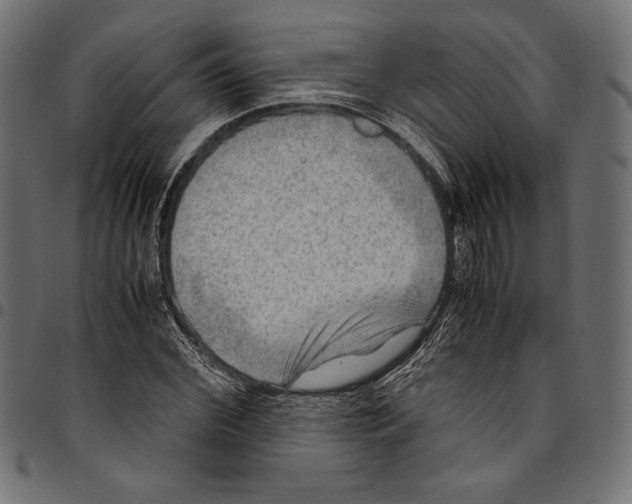X0000094800972200712141649
