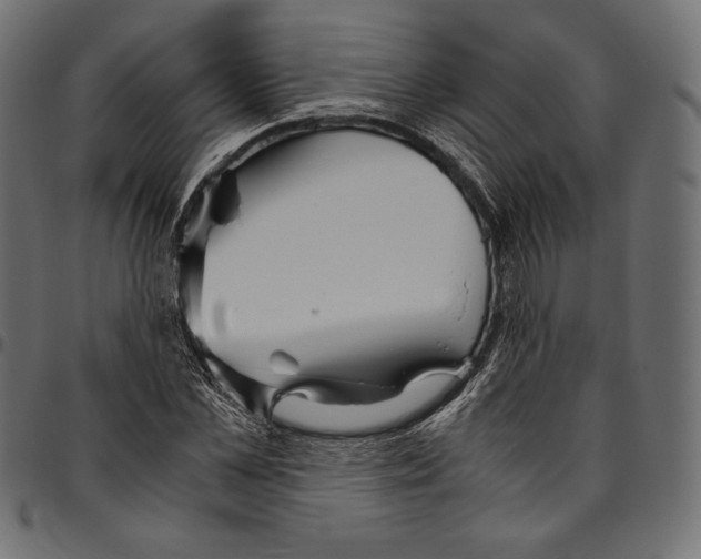 X0000094800973200712141649