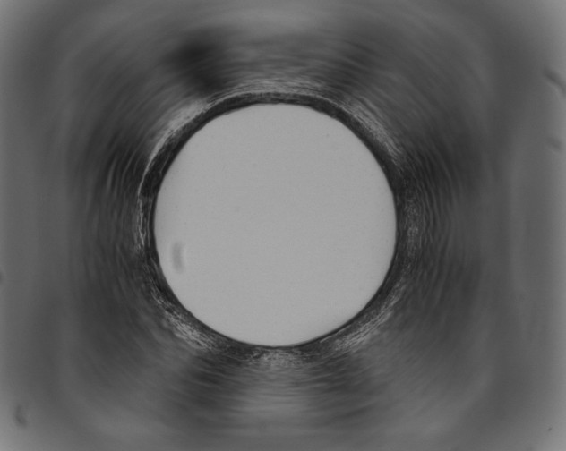 X0000094800974200712141649
