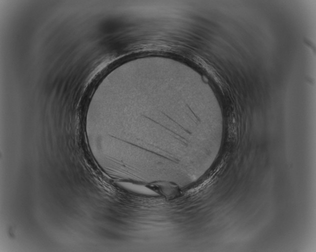 X0000094800975200712141649