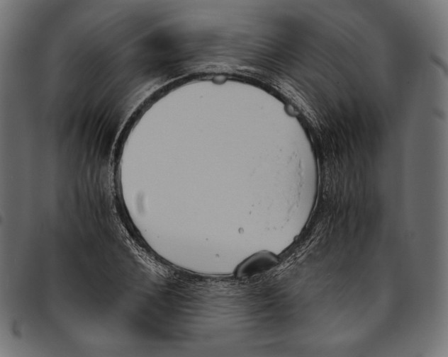 X0000094800976200712141649