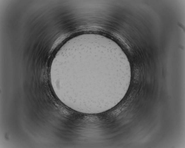 X0000094800978200712141648