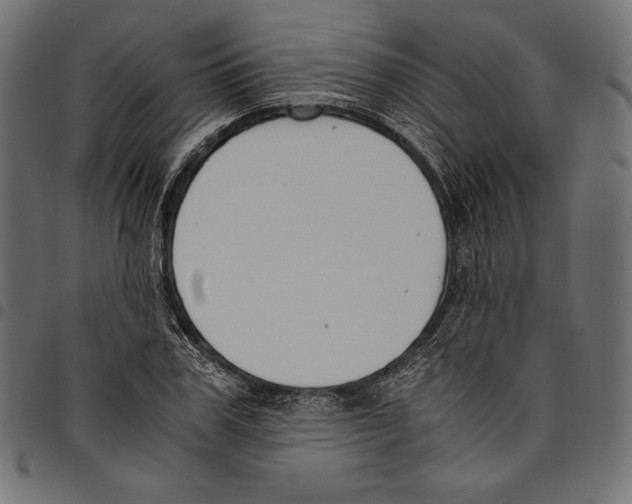 X0000094800979200712141648