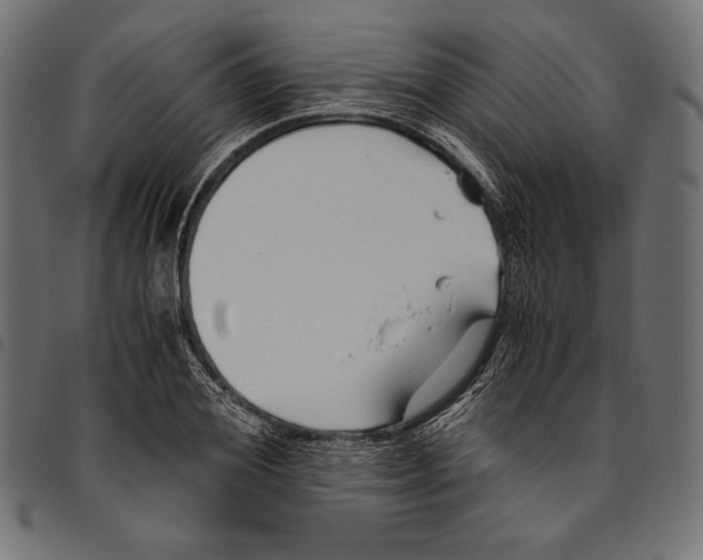 X0000094800980200712141648