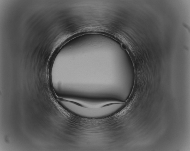 X0000094800981200712141648