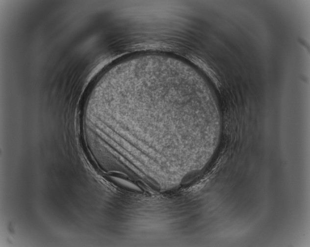 X0000094800983200712141648