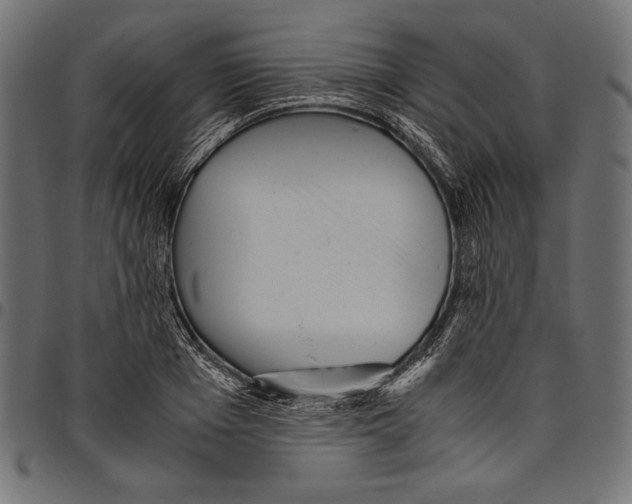 X0000094800985200712141648