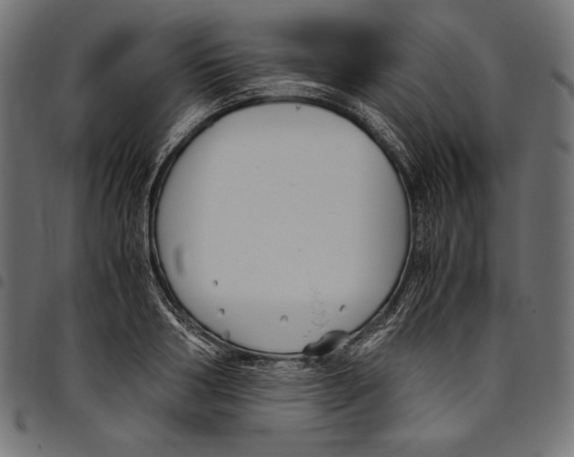 X0000094800986200712141648