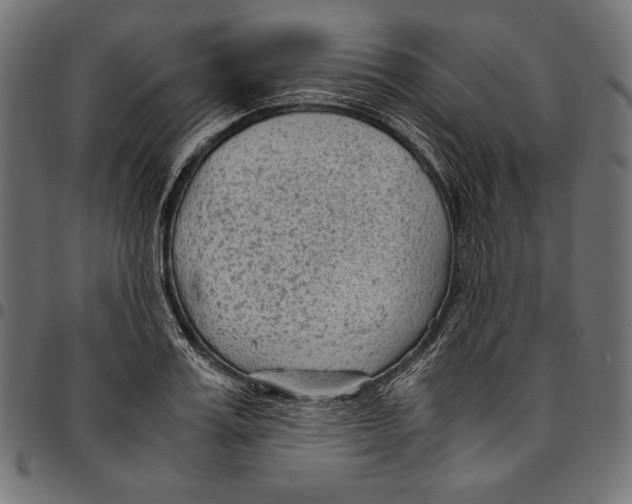 X0000094800987200712141648