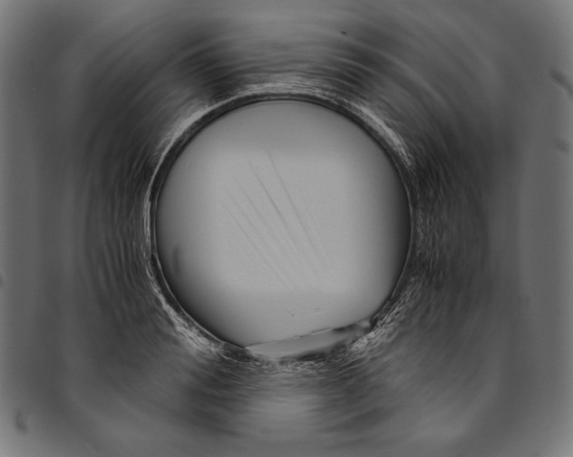 X0000094800988200712141648