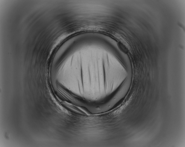 X0000094800989200712141648