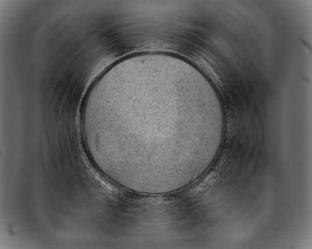 X0000094800990200712141648