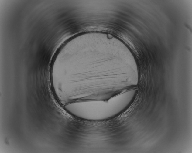 X0000094800992200712141648