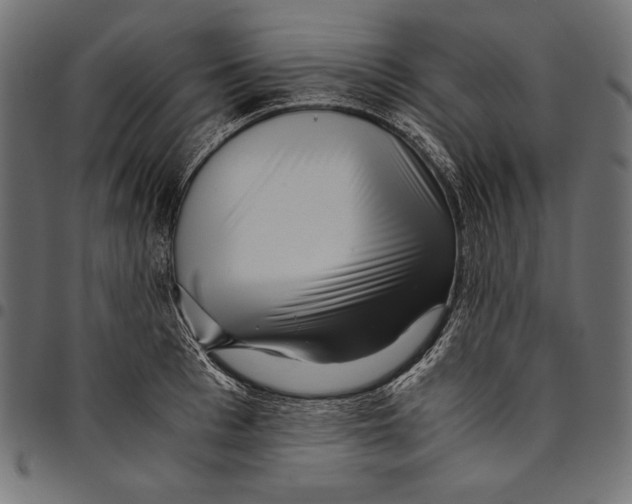 X0000094800993200712141648