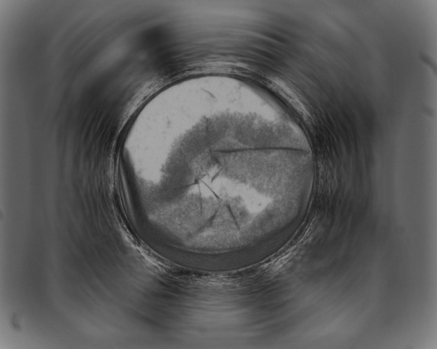 X0000094800994200712141648