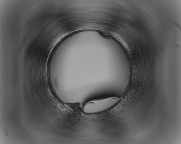 X0000094800996200712141648