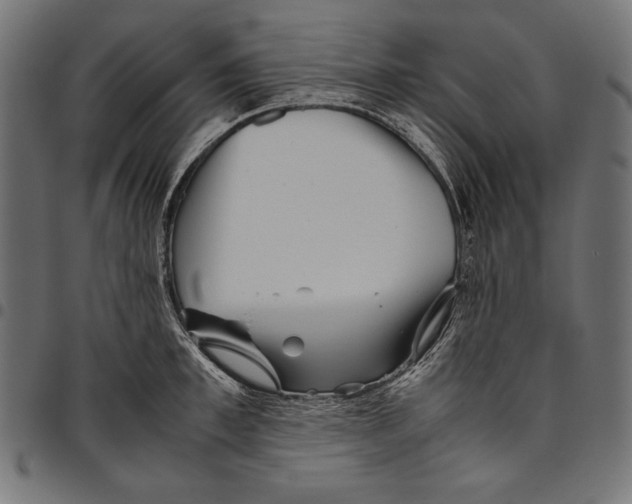 X0000094800997200712141648
