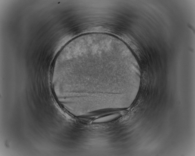 X0000094800998200712141648