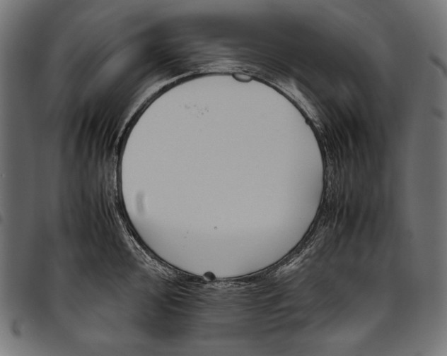 X0000094801000200712141648