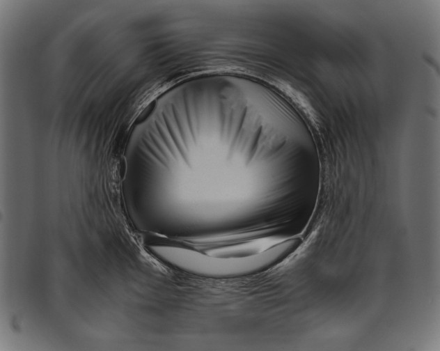 X0000094801001200712141648