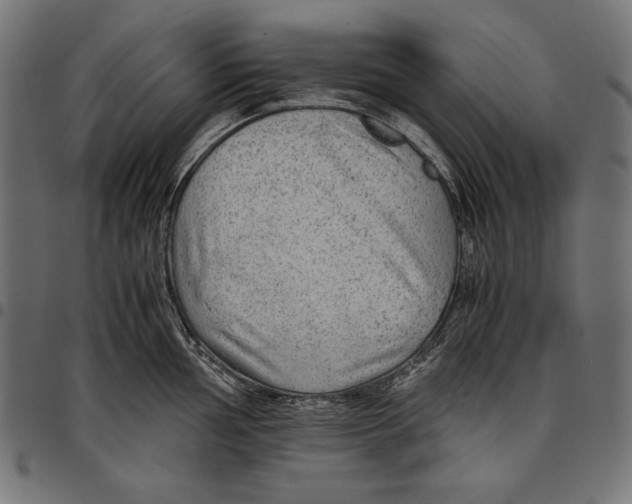 X0000094801002200712141648