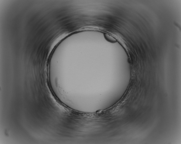 X0000094801003200712141648