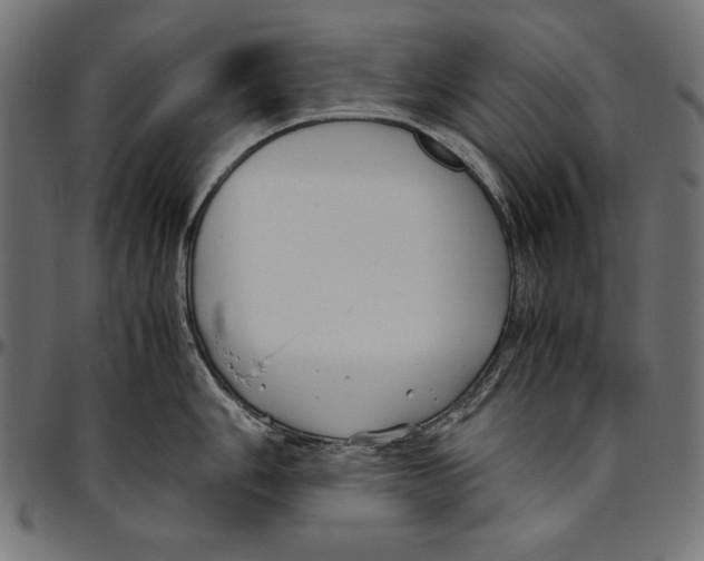 X0000094801006200712141648