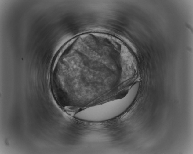 X0000094801007200712141648