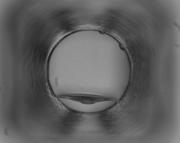 X0000094801008200712141648
