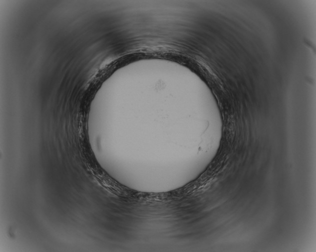 X0000094801016200712141648