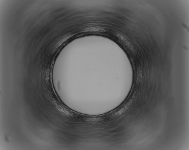 X0000094801017200712141648