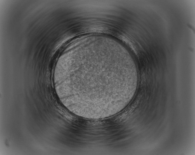 X0000094801019200712141648