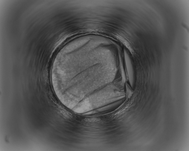 X0000094801023200712141648
