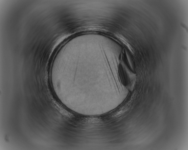 X0000094801024200712141648