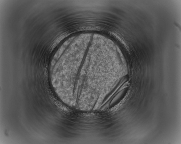 X0000094801025200712141648