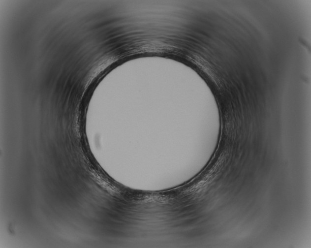 X0000094801026200712141648