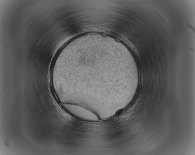 X0000094801028200712141648