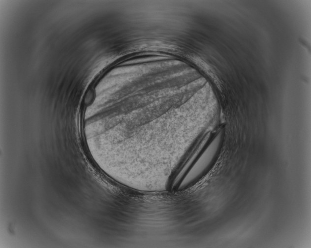 X0000094801032200712141648