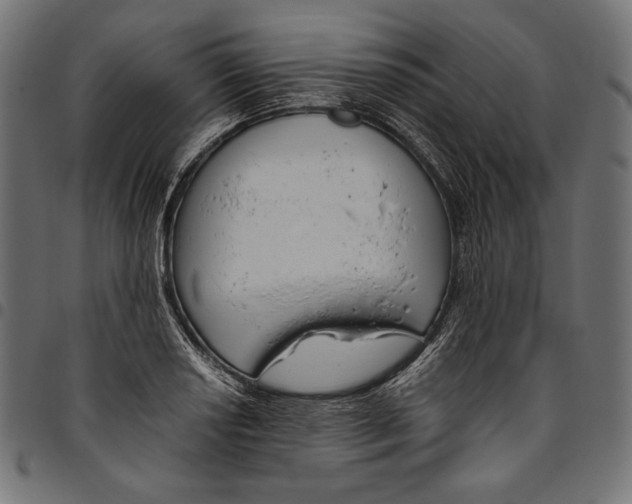 X0000094801034200712141648