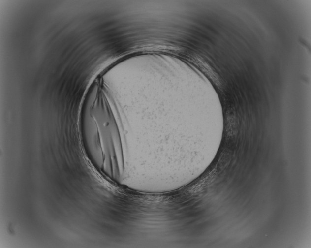 X0000094801036200712141648