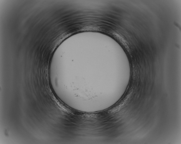 X0000094801041200712141648
