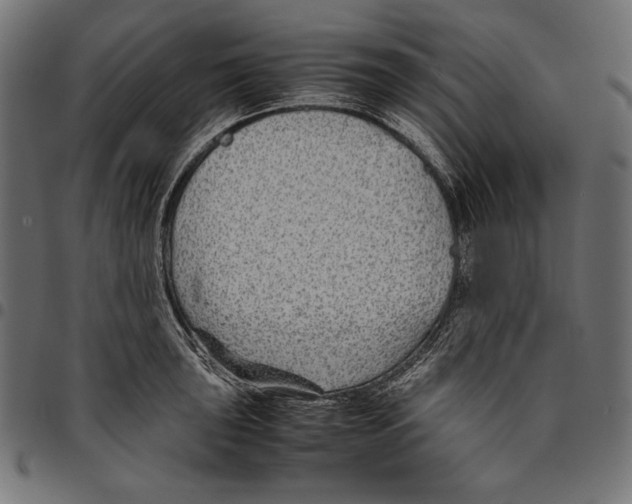 X0000094801043200712141648