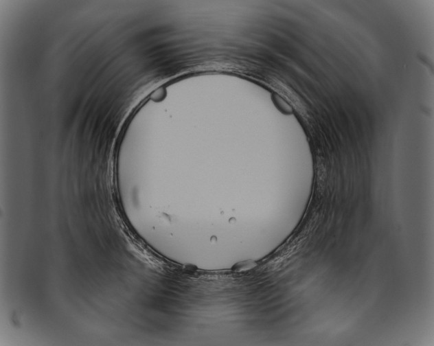 X0000094801044200712141648